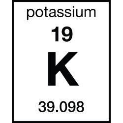 potassium element family